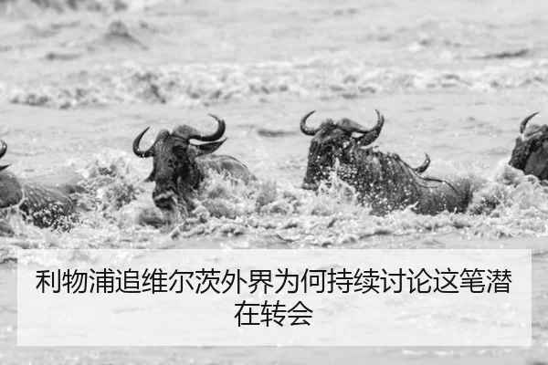 利物浦追维尔茨外界为何持续讨论这笔潜在转会