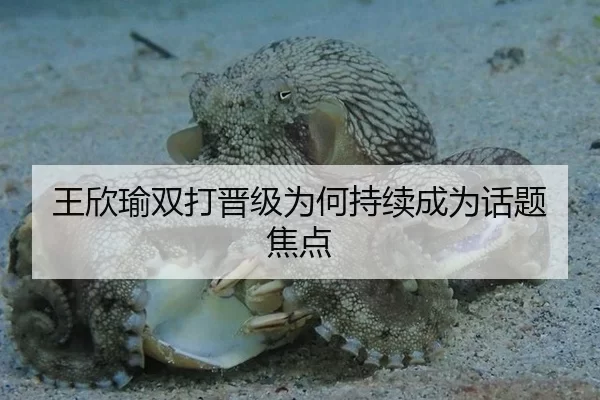 王欣瑜双打晋级为何持续成为话题焦点